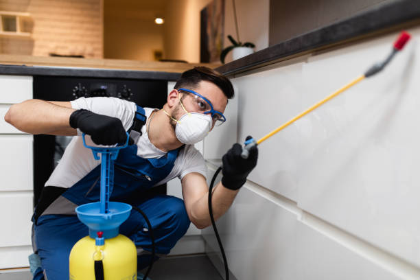Best Cockroach Control Services  in Munster, IN