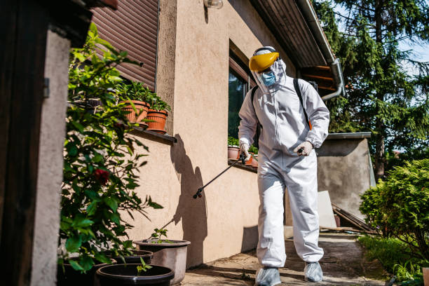 Best Mosquito Control Services  in Munster, IN