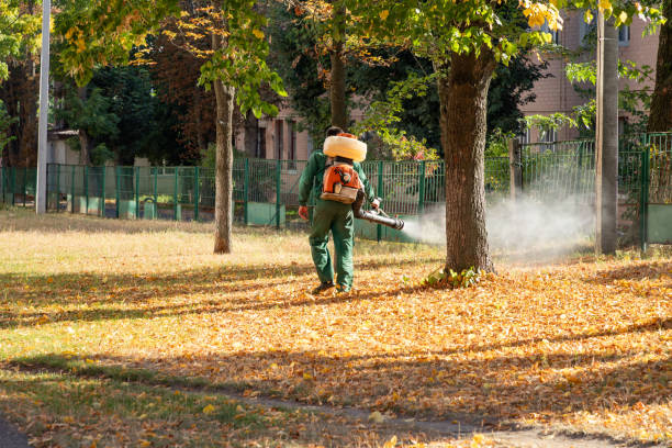 Best Pest Inspection Near Me  in Munster, IN