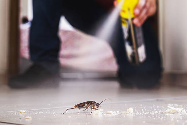 Professional Pest Control in Munster, IN