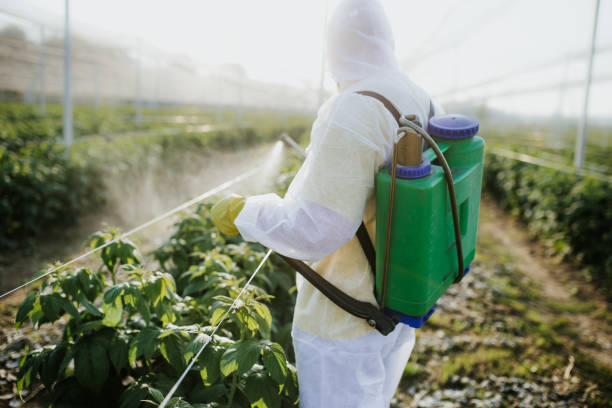 Best Affordable Pest Control Services  in Munster, IN